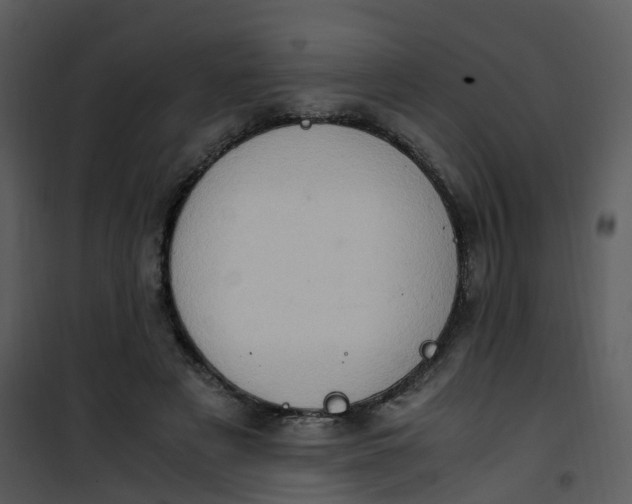 X0000101170497200807181427