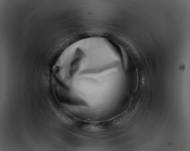 X0000101170498200807181427