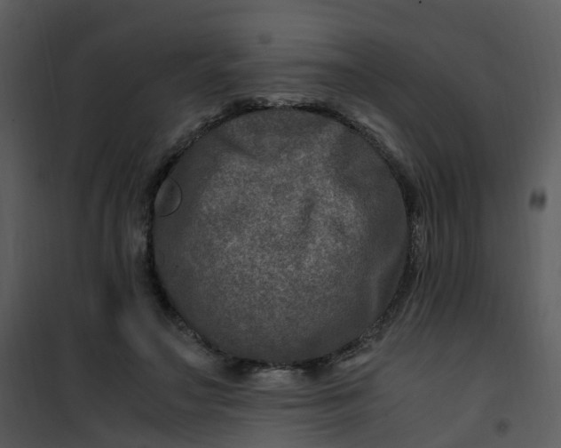 X0000101170499200807181427