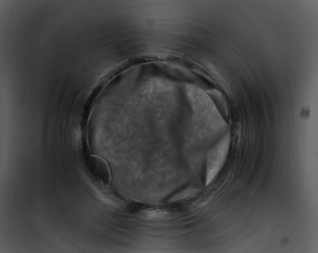 X0000101170500200807181427