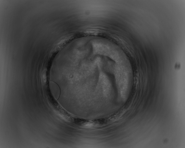 X0000101170504200807181427
