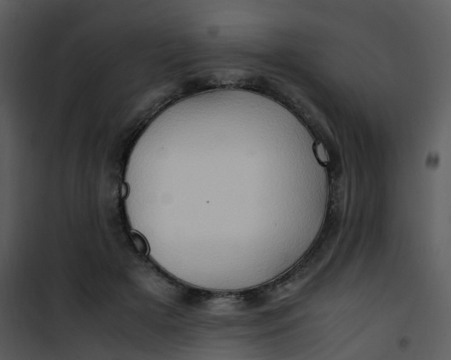 X0000101170505200807181427