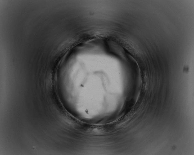 X0000101170506200807181427
