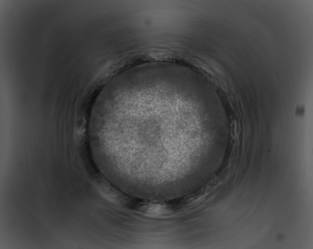 X0000101170507200807181426