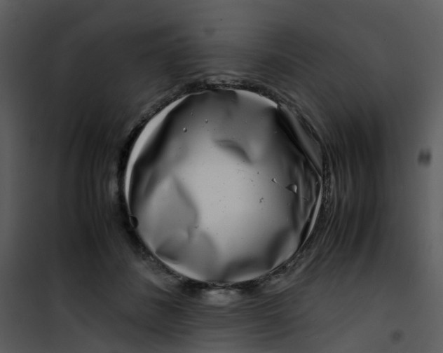 X0000101170508200807181426
