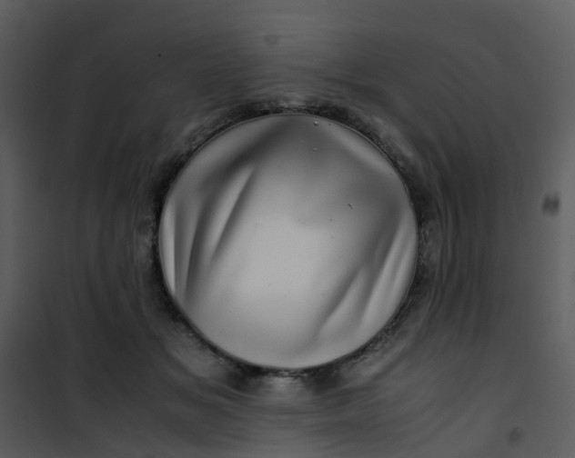 X0000101170509200807181426
