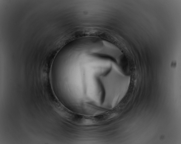 X0000101170510200807181426