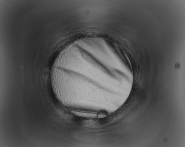 X0000101170511200807181426