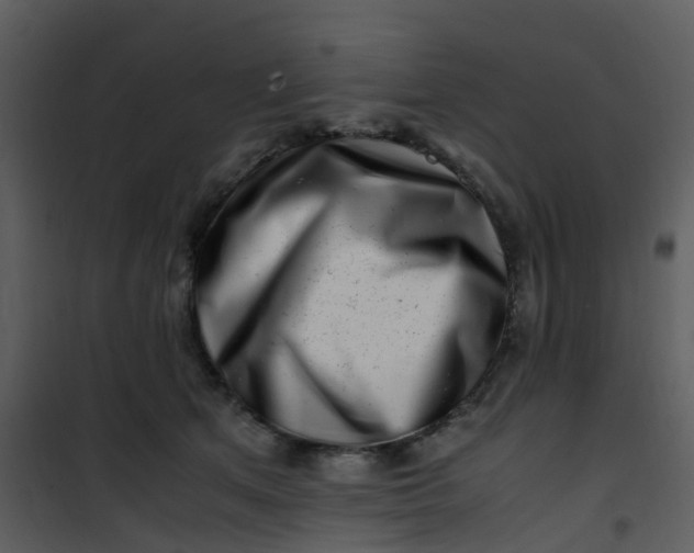 X0000101170513200807181426