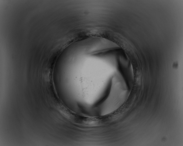 X0000101170514200807181426
