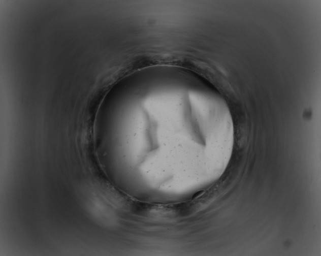 X0000101170515200807181426