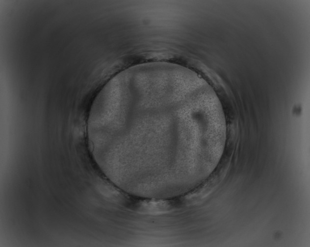 X0000101170517200807181426
