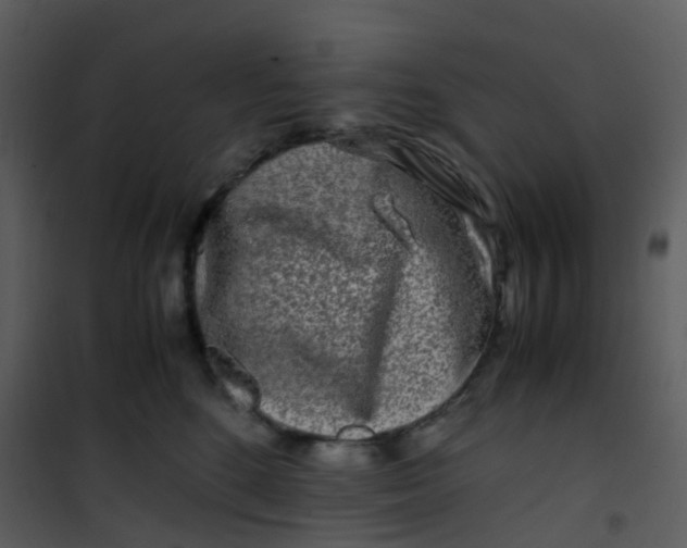 X0000101170520200807181426