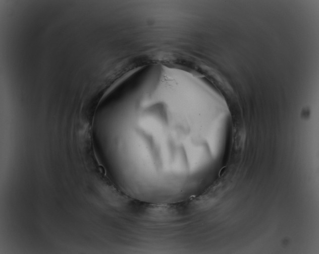 X0000101170521200807181426