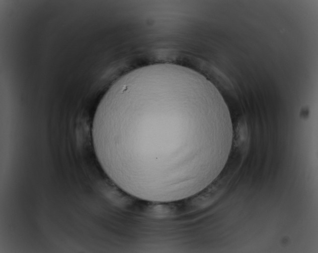X0000101170522200807181426