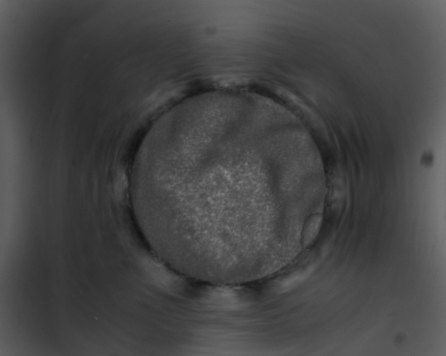 X0000101170523200807181426