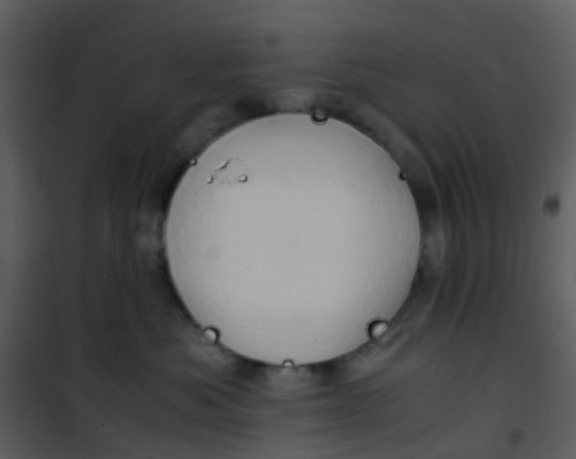X0000101170525200807181426