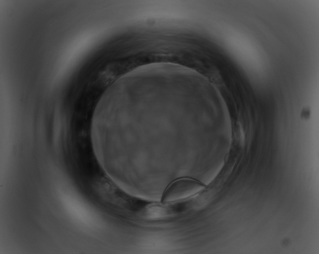 X0000101170526200807181426