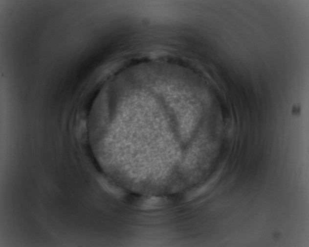 X0000101170527200807181426