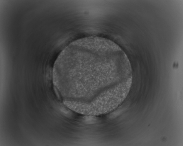 X0000101170528200807181426