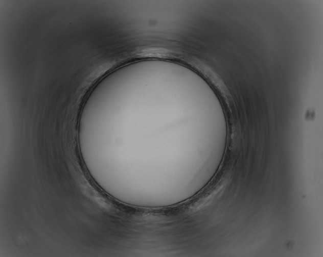 X0000101170529200807181425