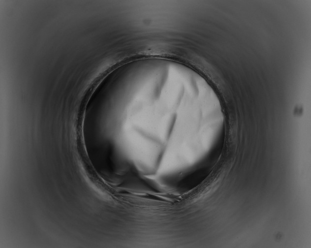 X0000101170530200807181425
