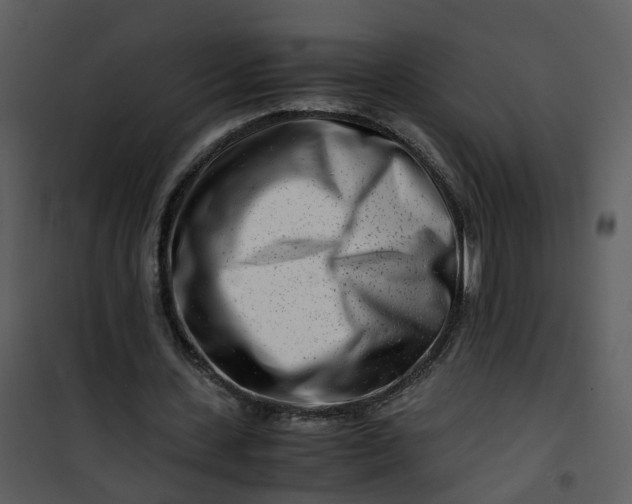 X0000101170531200807181425