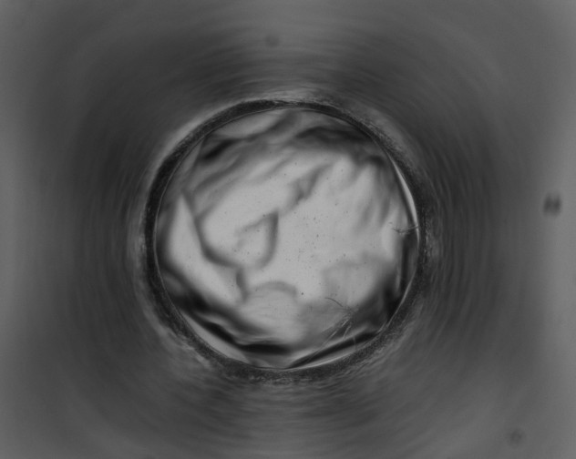 X0000101170532200807181425