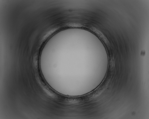 X0000101170533200807181425