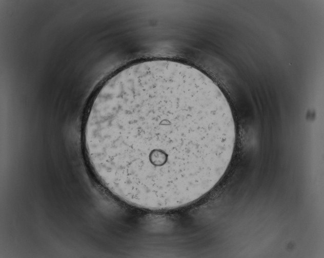 X0000101170534200807181425
