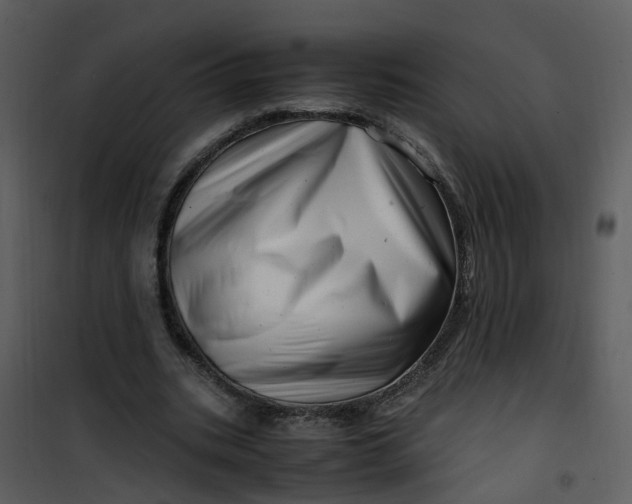 X0000101170535200807181425