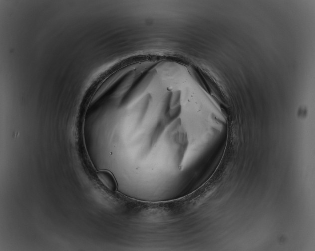 X0000101170536200807181425