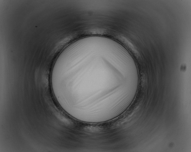 X0000101170537200807181425