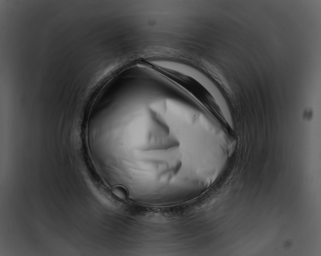 X0000101170538200807181425
