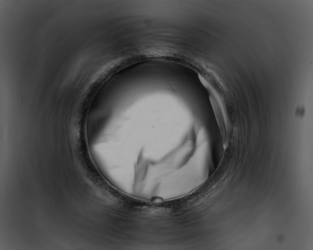 X0000101170539200807181425