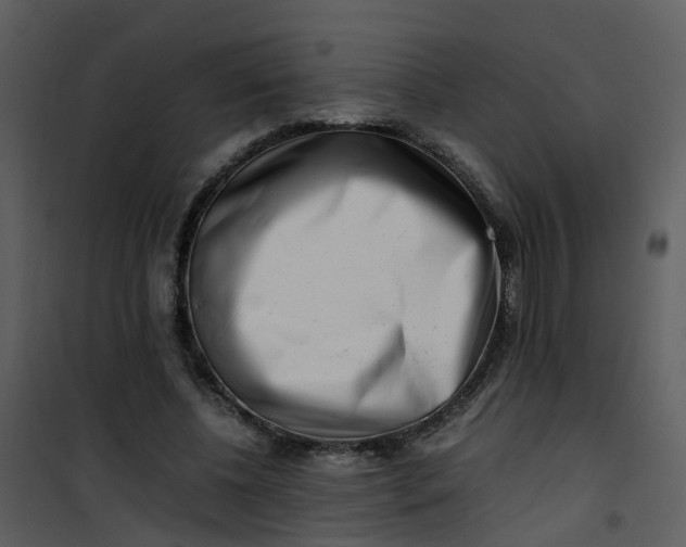 X0000101170540200807181425