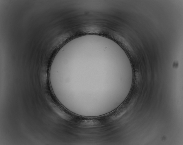X0000101170541200807181425