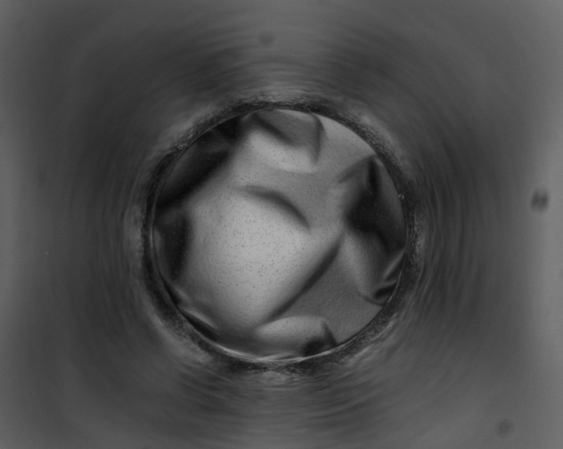 X0000101170542200807181426