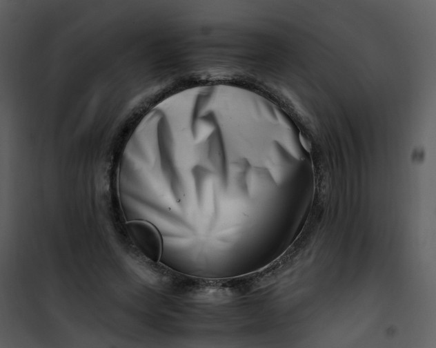 X0000101170543200807181426