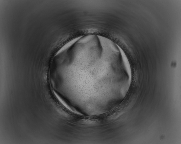 X0000101170545200807181426