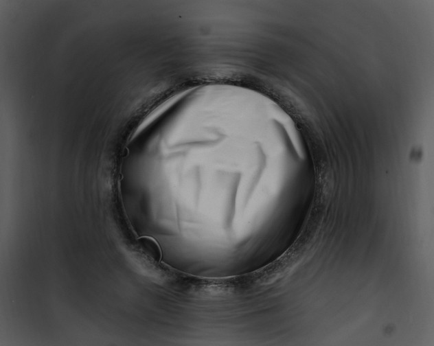 X0000101170546200807181426