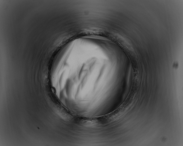 X0000101170548200807181426