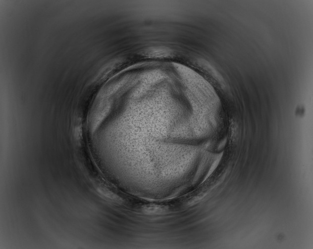 X0000101170549200807181426