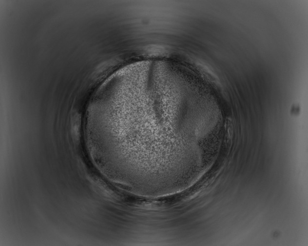 X0000101170550200807181426