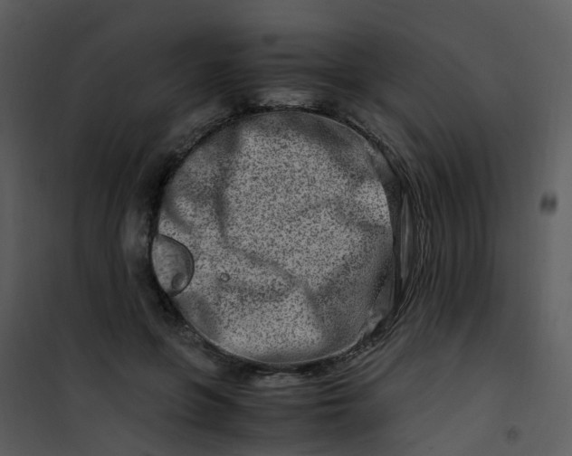 X0000101170551200807181426