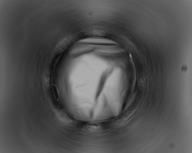 X0000101170552200807181426