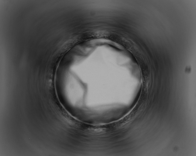 X0000101170553200807181426