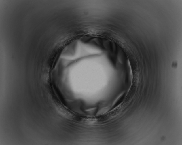 X0000101170554200807181426
