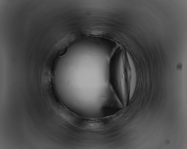 X0000101170555200807181426