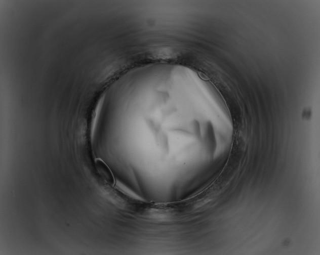 X0000101170556200807181426
